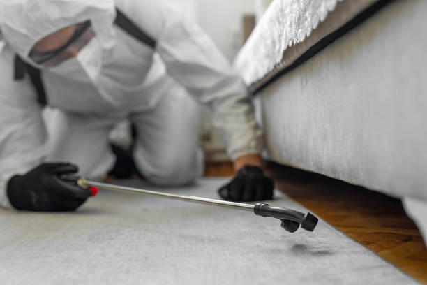 Professional Pest Control technician working in Pickens County County, AL